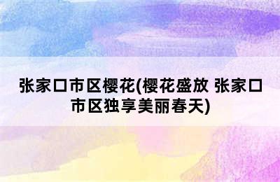 张家口市区樱花(樱花盛放 张家口市区独享美丽春天)